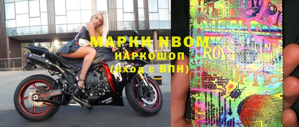 ПСИЛОЦИБИНОВЫЕ ГРИБЫ Арсеньев