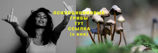 а пвп мука Армянск