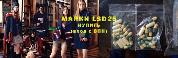 ПСИЛОЦИБИНОВЫЕ ГРИБЫ Арсеньев