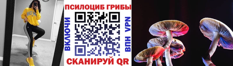 закладка  Карачаевск  Псилоцибиновые грибы ЛСД 